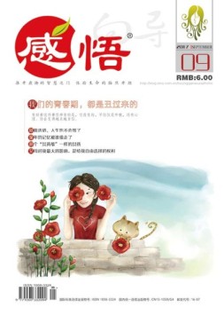 向导·感悟 17年第9期