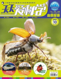 天天爱科学 17年10月号