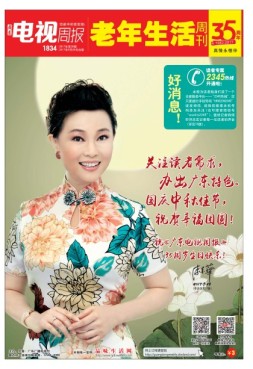 广东电视周报 17年第38期