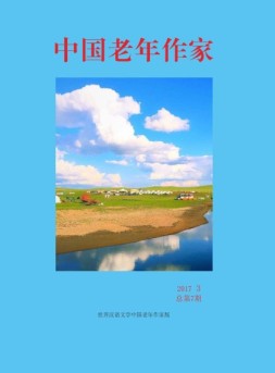 世界汉语文学中国老年作家版 17年第3期