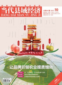 当代县域经济 17年10月号