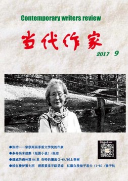 当代作家 17年第9期
