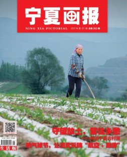 宁夏画报 17年第7期