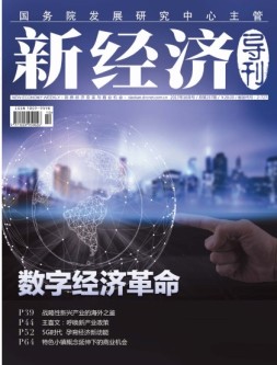 新经济导刊 17年10月号