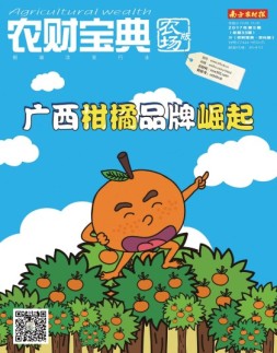 农财宝典农场版 17年第5期