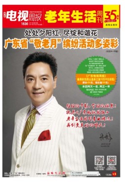 广东电视周报 17年第40期