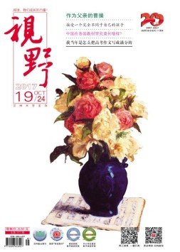 视野 17年第19期