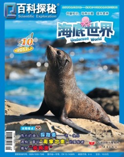 百科探秘·海底世界 17年10月号