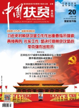 中国扶贫 17年第20期