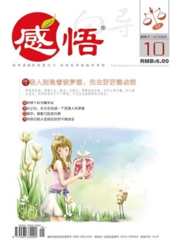 向导·感悟 17年第10期