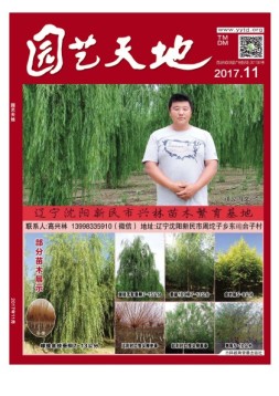 园艺天地 17年11月号