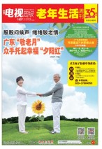 广东电视周报 17年第41期