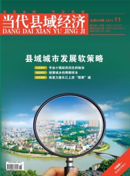 当代县域经济 17年11月号