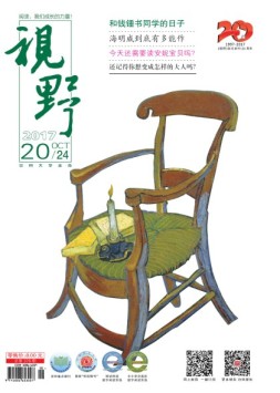 视野 17年第20期