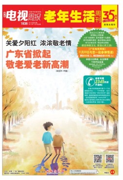 广东电视周报 17年第42期
