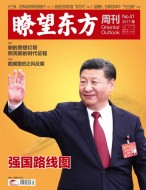 瞭望东方周刊 17年第41期