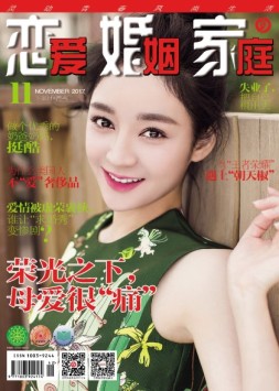 恋爱婚姻家庭 17年11月下