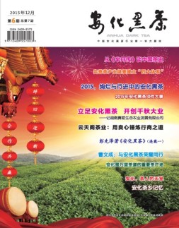 安化黑茶 15年第6期