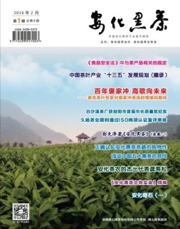 安化黑茶 16年第1期