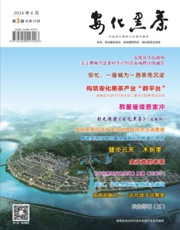 安化黑茶 16年第3期
