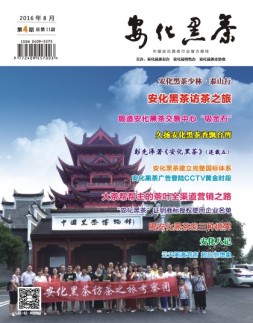 安化黑茶 16年第4期