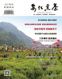安化黑茶 17年第2期