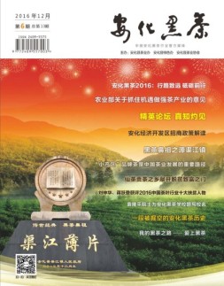 安化黑茶 16年第6期