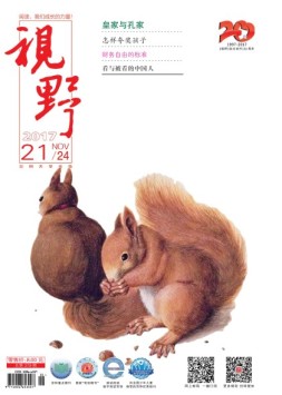 视野 17年第21期