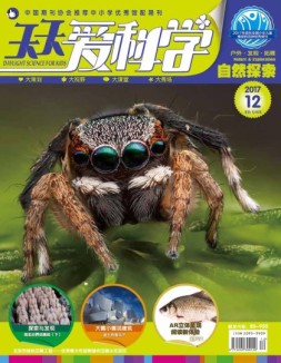 天天爱科学 17年12月号