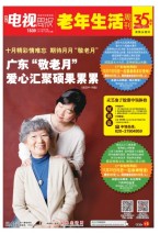 广东电视周报 17年第43期