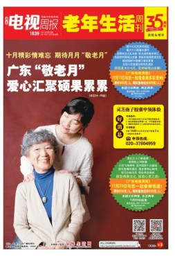 广东电视周报 17年第43期