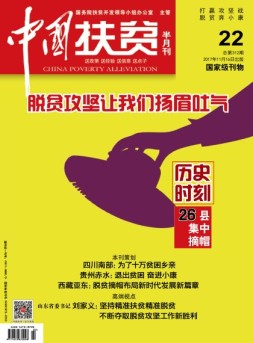 中国扶贫 17年第22期