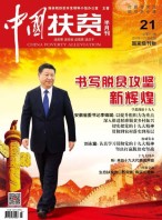 中国扶贫 17年第21期