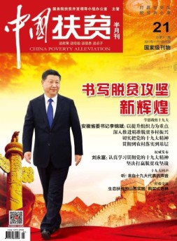 中国扶贫 17年第21期