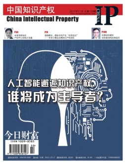 中国知识产权 17年11月号