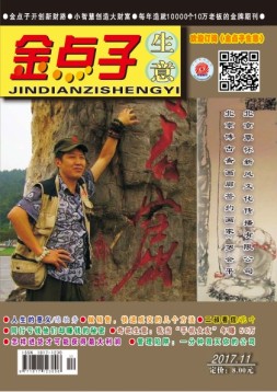 金点子生意 17年11月号