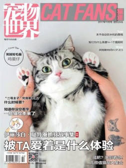 宠物世界·猫迷 17年11月号