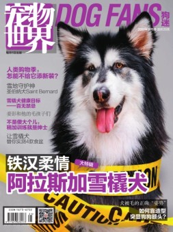 宠物世界·狗迷 17年11月号