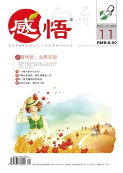 向导·感悟 17年第11期