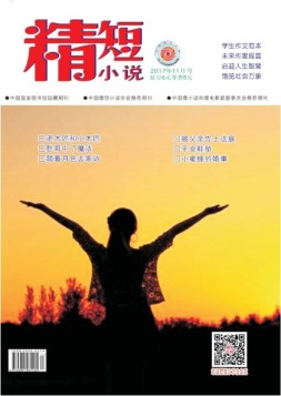 精短小说 17年第11期