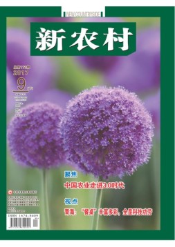 新农村 17年第27期