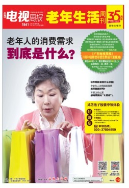 广东电视周报 17年第45期
