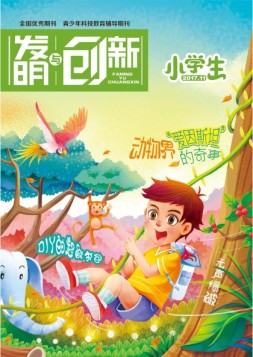 发明与创新少儿天地 17年11月号