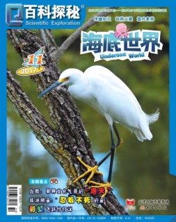 百科探秘·海底世界 17年11月号
