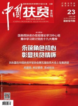 中国扶贫 17年第23期