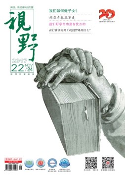 视野 17年第22期