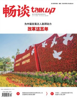 畅谈 17年第20期