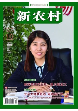 新农村 17年第28期