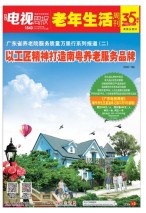 广东电视周报 17年第47期