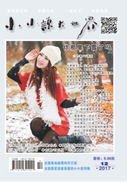 小小说大世界 17年12月号